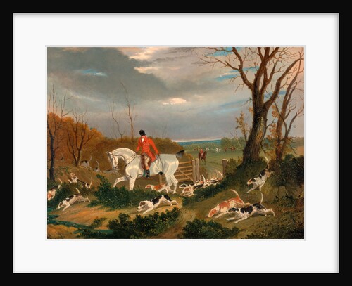 The Suffolk Hunt: Going to Cover near Herringswell The Suffolk Hunt - Going to Cover near Herringswell by John Frederick Herring