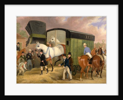 The Derby Pets: The Arrival by James Pollard