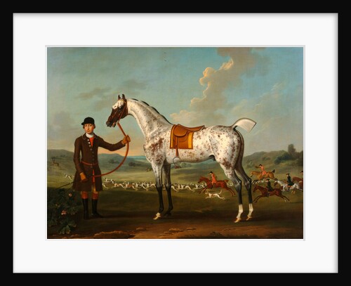 Scipio, a spotted hunter, the property of Colonel Roche by Thomas Spencer