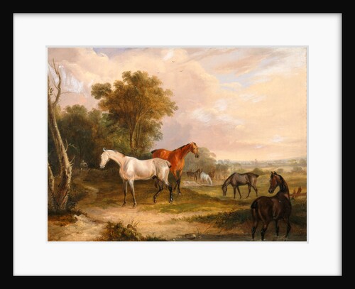 Horses Grazing: a Grey Stallion Grazing with Mares in a Meadow by Calcraft Turner