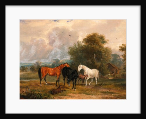 Horses Grazing: Mares and Foals in a Field by Calcraft Turner