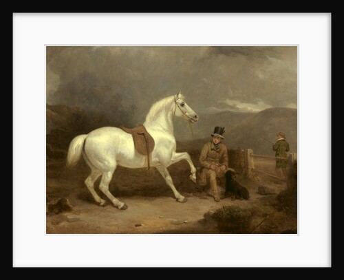 Grey Shooting Pony, Probably the Property of Johnston King by Thomas Woodward