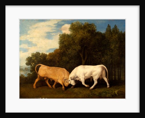 Bulls Fighting by George Stubbs