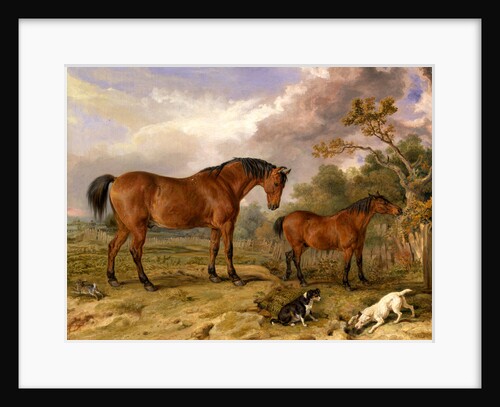 Portrait of Reformer, Blucher, Tory and Crib by James Ward