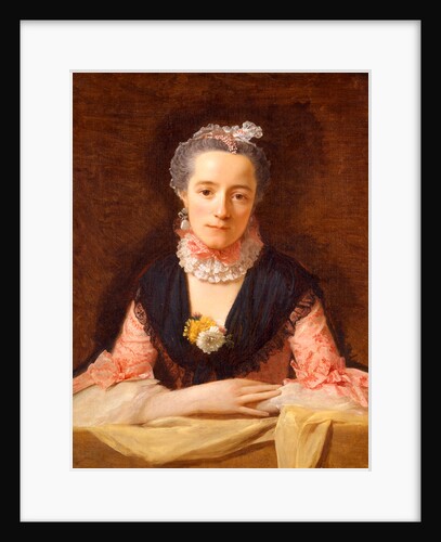 Lady in a Pink Silk Dress by Allan Ramsay