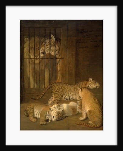 Group of Whelps Bred between a Lion and a Tigress by Jacques-Laurent Agasse