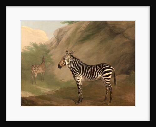 Zebra by Jacques-Laurent Agasse