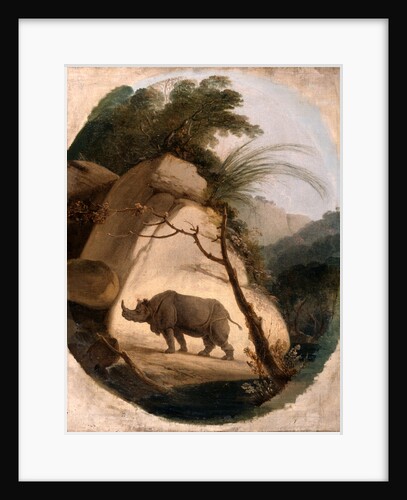 The Indian Rhinoceros by Thomas Daniell