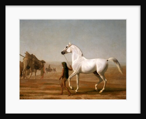 The Wellesley Grey Arabian Led through the Desert by Jacques-Laurent Agasse