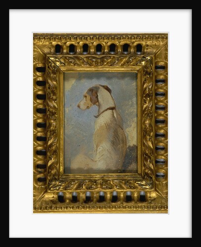 Study of a Greyhound by Sir Edwin Henry Landseer