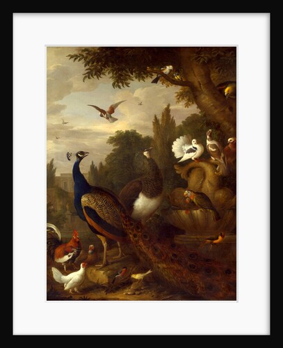 Peacock, peahen, parrots, canary, and other birds in a park by Jacob Bogdani