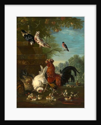 Domestic cock, hens, and chicks in a park by Peter Casteels