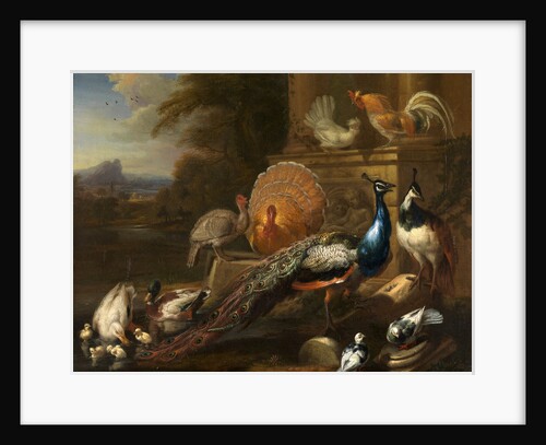 Peacocks, Doves, Turkeys, Chickens and Ducks by a Classical Ruin by Marmaduke Cradock