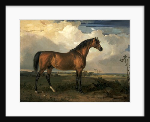Eagle, a Celebrated Stallion Eagle, a stallion by James Ward