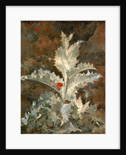 A Thistle by John Crome