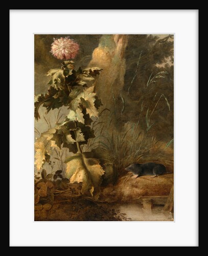 An Egyptian Poppy and a Water Mole A Thistle and Water Vole by John Crome