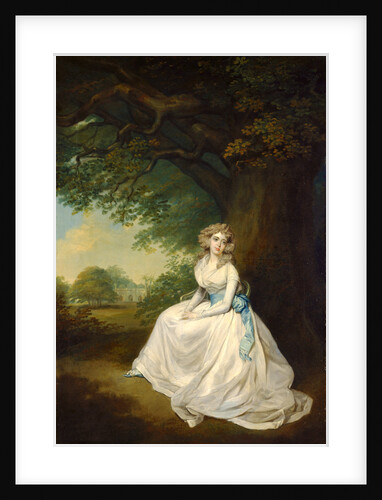 Lady Chambers by Arthur William Devis