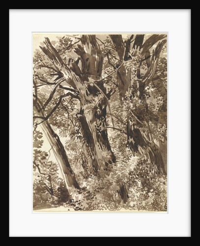 Trunks and Branches by Franz Innocenz Kobell