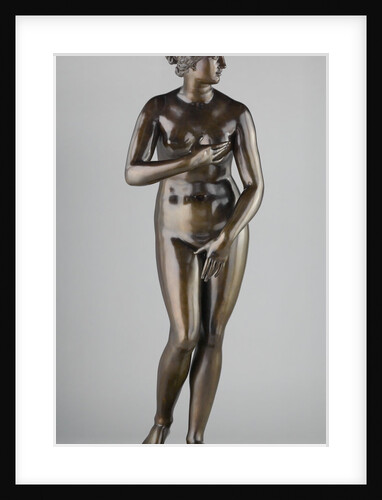 Medici Venus by Pietro Cipriani