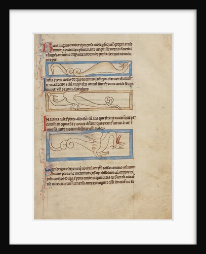 A Boa, A Jaculus, A Siren by Anonymous