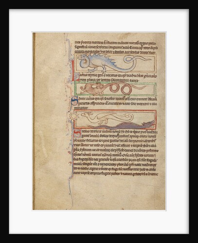 A Seps, A Lizard, A Saura, A Newt by Anonymous