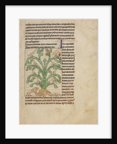 A Peridexion by Anonymous