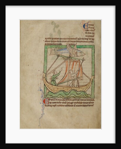 A Flying Fish by Anonymous