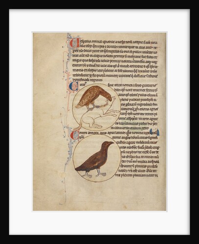 A Raven, A Crow by Anonymous