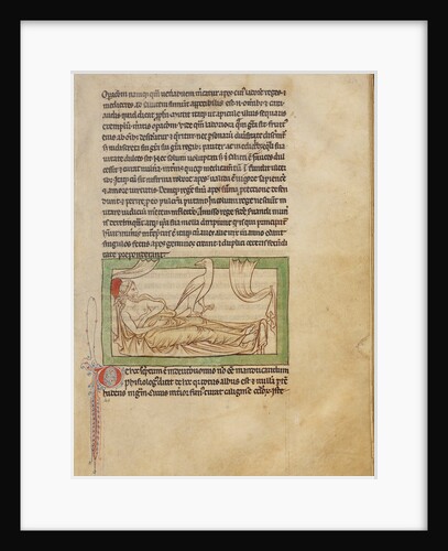 A Caladrius by Anonymous