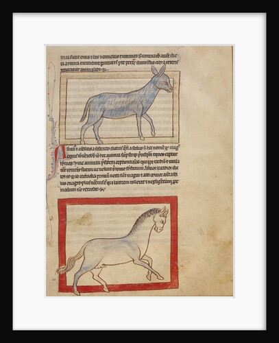 A Donkey, A Horse by Anonymous