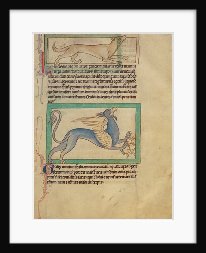 A Lynx, A Griffin by Anonymous