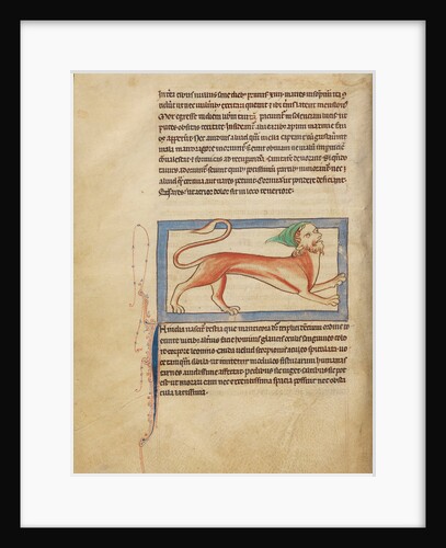 A Manticore by Anonymous