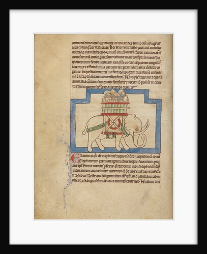 An Elephant by Anonymous