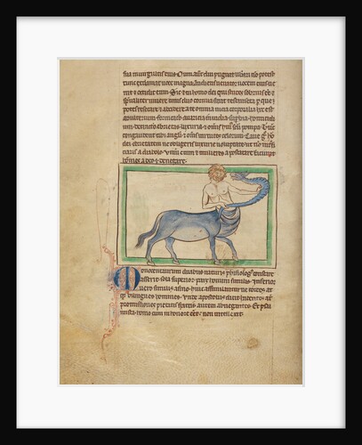 A Monocentaurus by Anonymous