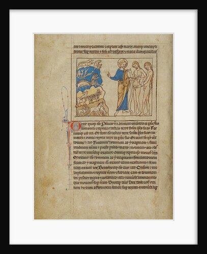 The Creation of the Animals and of Adam and Eve by Anonymous