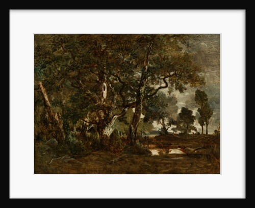 Forest of Fontainebleau, Cluster of Tall Trees Overlooking the Plain of Clair-Bois at the Edge of Bas-Bréau by Théodore Rousseau