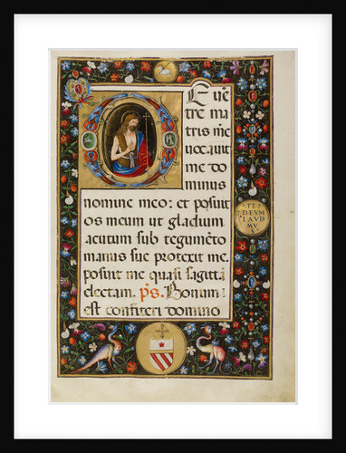 Initial D: Saint John the Baptist by Matteo da Milano