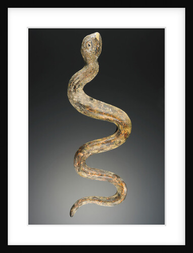 Snake by Anonymous