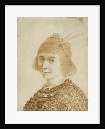 Portrait of a Lady by Jan van de Velde