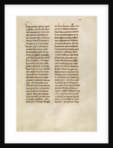 Text Page by Anonymous