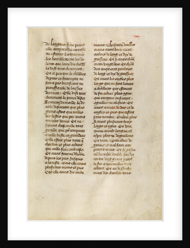 Text Page by Anonymous