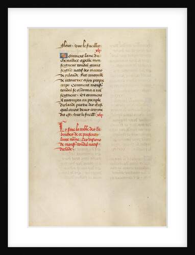 Text Page by Anonymous