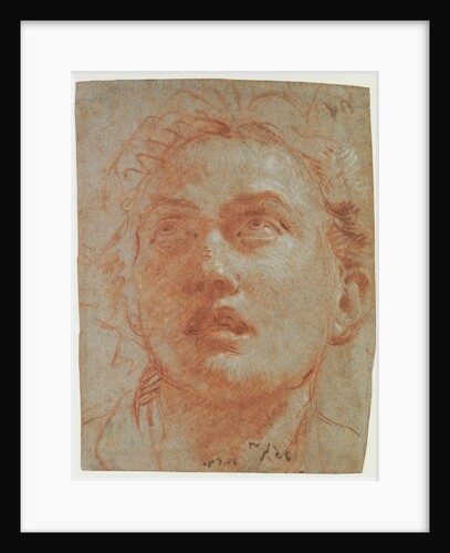 Head of a Man Looking Up by Giovanni Battista Tiepolo
