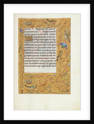 Decorated Text Page by Anonymous