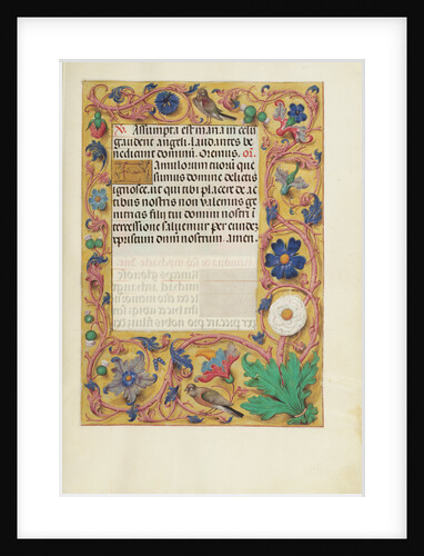 Decorated Text Page by Anonymous
