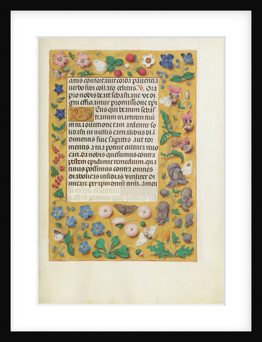 Decorated Text Page by Anonymous