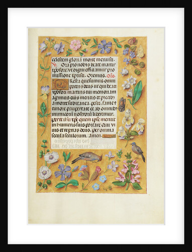 Decorated Text Page by Anonymous