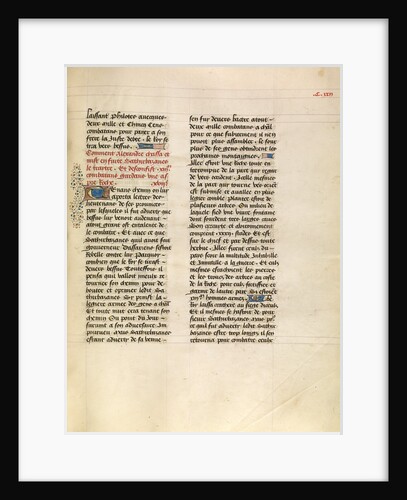 Decorated Text Page by Anonymous
