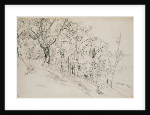 Forest in Boisrémond (recto), Cottage in a Forest (verso) by Théodore Rousseau