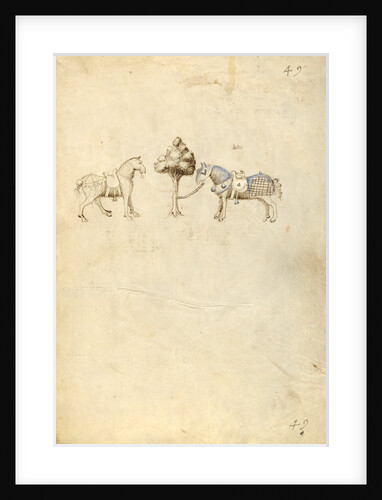 Two Horses by Fiore Furlan dei Liberi da Premariacco